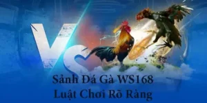 Hướng Dẫn Cách Chơi Đá Gà WS168 Tại 2Bong88 Đỉnh Cao Rinh Thưởng Khủng Ngay