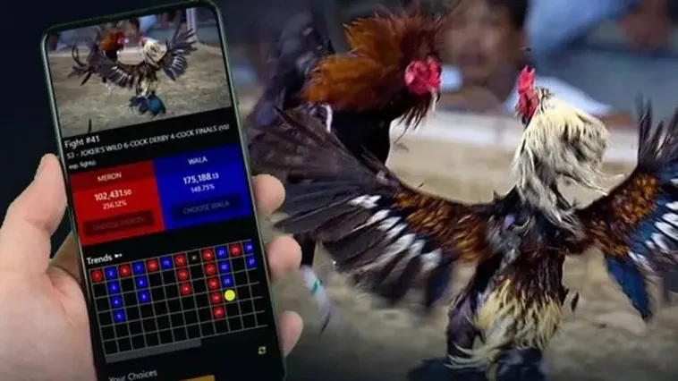 Cá Cược Đá Gà 2Bong88 Đỉnh Cao Mang Về Cơ Hội Thắng Lớn Mỗi Ngày