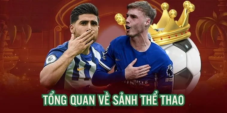 Bùng Nổ Cảm Xúc Cùng Thế Giới Giải Trí Đỉnh Cao Tại Thể Thao 2Bong88